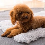 Almofada Universal Quadrada de Pelúcia Quente para Outono e Inverno para Gato e Cão, S, XL, L