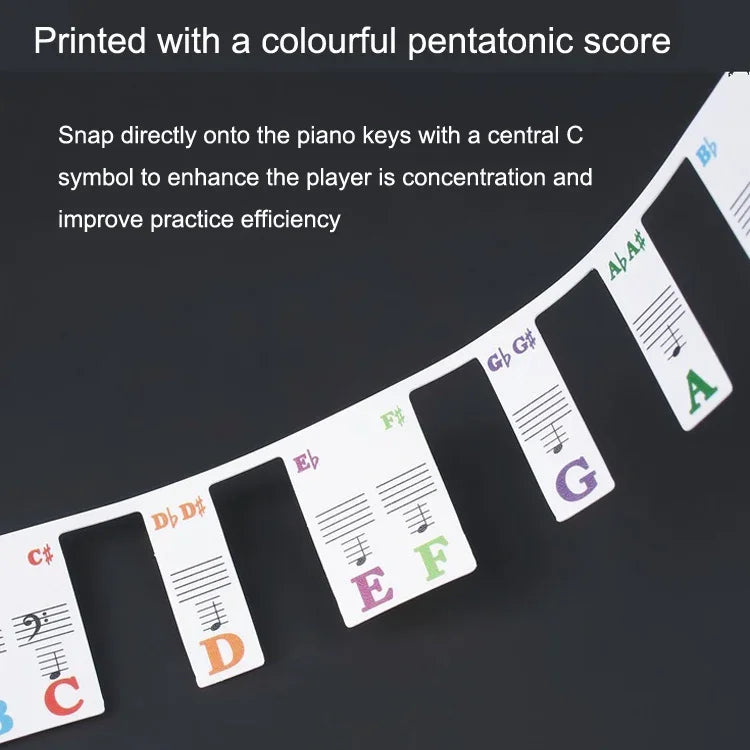Adesivos Coloridos para Teclado de Piano para Crianças Iniciantes, Acessórios para Instrumentos Musicais, Teclas de Piano Imitadas 61 Teclas, Teclas de Piano 61 teclas