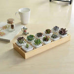 Succulent Wooden Storage Box Landscape Garden Decoration, 10 Cells