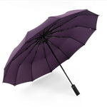Guarda-chuva extra grande reforçado com 12 varetas, automático, dobrável duplo para chuva e sol, uso duplo, personalidade e criatividade
