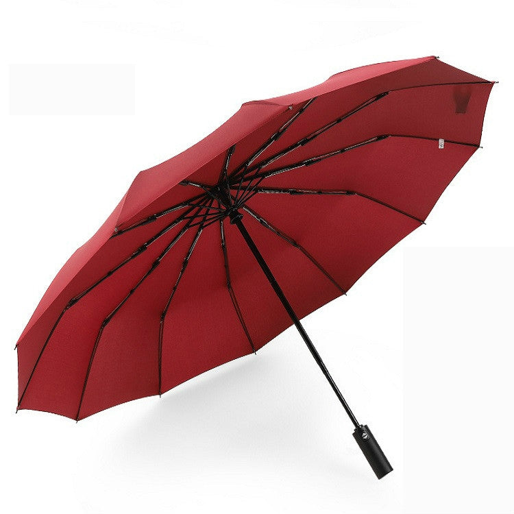 Guarda-chuva extra grande reforçado com 12 varetas, automático, dobrável duplo para chuva e sol, uso duplo, personalidade e criatividade