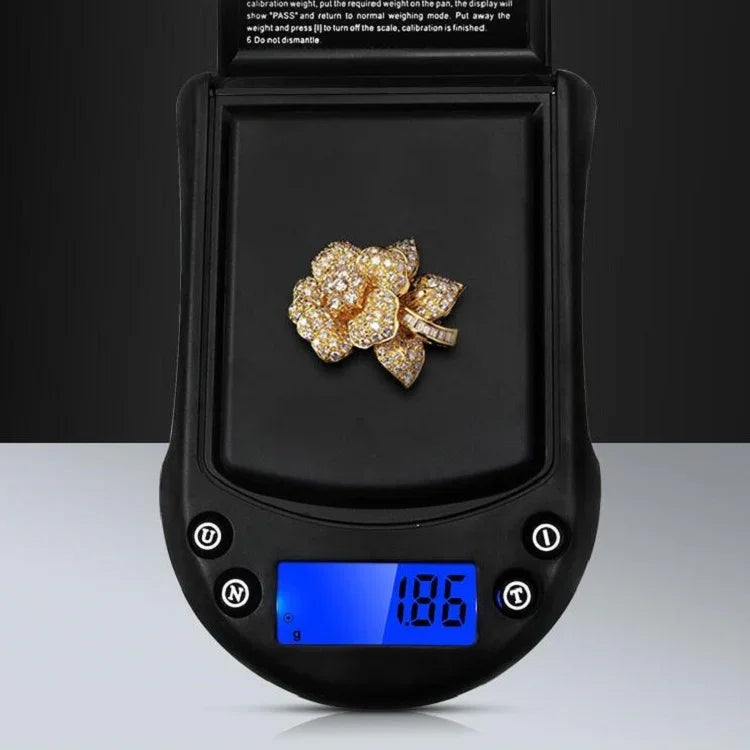 Balança de Palma de Precisão para Ouro e Prata, Balança de Bolso, Especificação: 200g/0,01g, 200g/0,01g : Sem Bateria