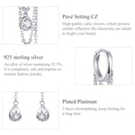 Sterling Silver Earrings Zircon Tassel Long Earrings S925 Girl Earrings jewelry, SCE638