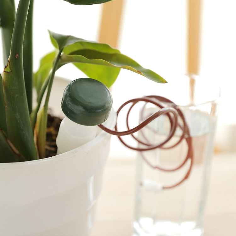6 Conjuntos de Dispositivo Automático de Rega para Plantas em Vaso, 6 Conjuntos