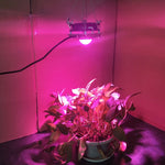 Luz LED de Crescimento de Plantas COB para Plantas, Vegetais e Suculentas, Espectro Completo, Luz Solar