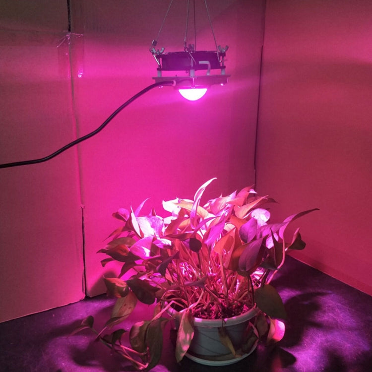 Luz LED de Crescimento de Plantas COB para Plantas, Vegetais e Suculentas, Espectro Completo, Luz Solar