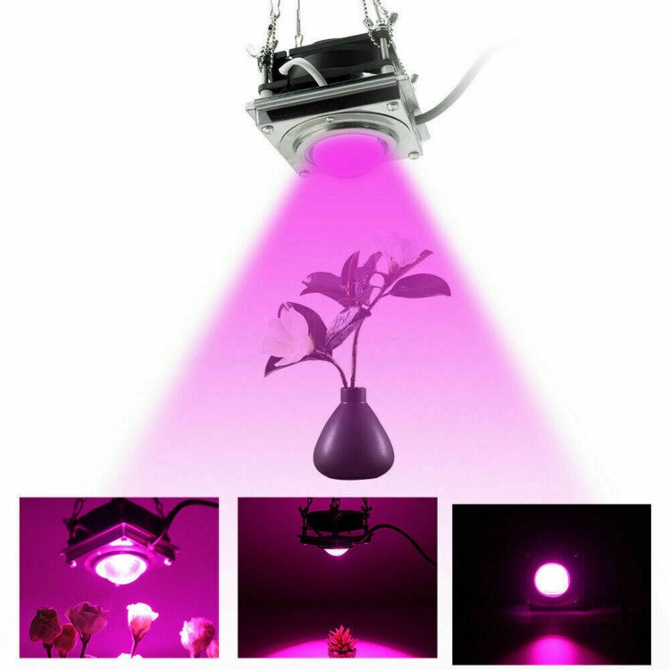Luz LED de Crescimento de Plantas COB para Plantas, Vegetais e Suculentas, Espectro Completo, Luz Solar