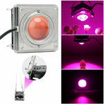 Luz LED de Crescimento de Plantas COB para Plantas, Vegetais e Suculentas, Espectro Completo, Luz Solar