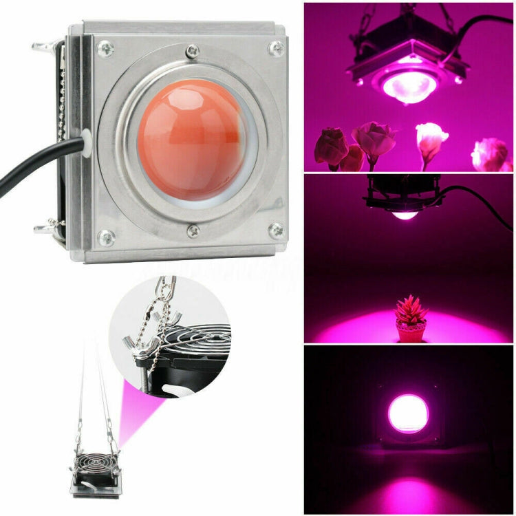 Luz LED de Crescimento de Plantas COB para Plantas, Vegetais e Suculentas, Espectro Completo, Luz Solar