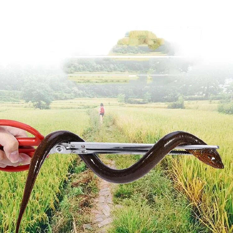 Pinça para Enguia de Arroz Pinça para Lagosta Pinça para Enguia de Arroz Pinça para Caranguejo Pinça para Peixe Controle de Lixo, 38cm Reta, 52cm Reta, 62cm Reta, 38cm Curva, 52cm Curva, 62cm Curva