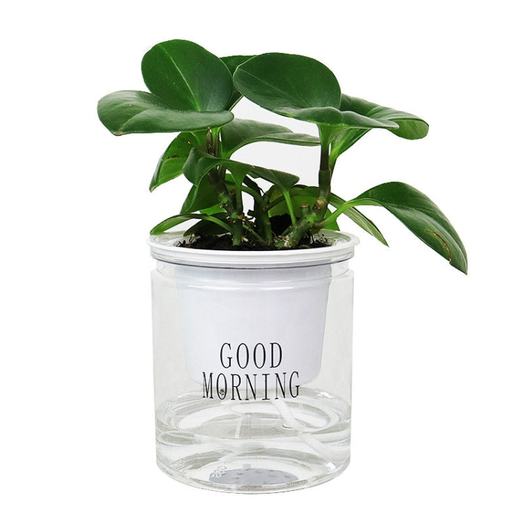 Vaso Hidropónico de Absorção Automática de Água para Plantas Suculentas, Transparente com Palavras