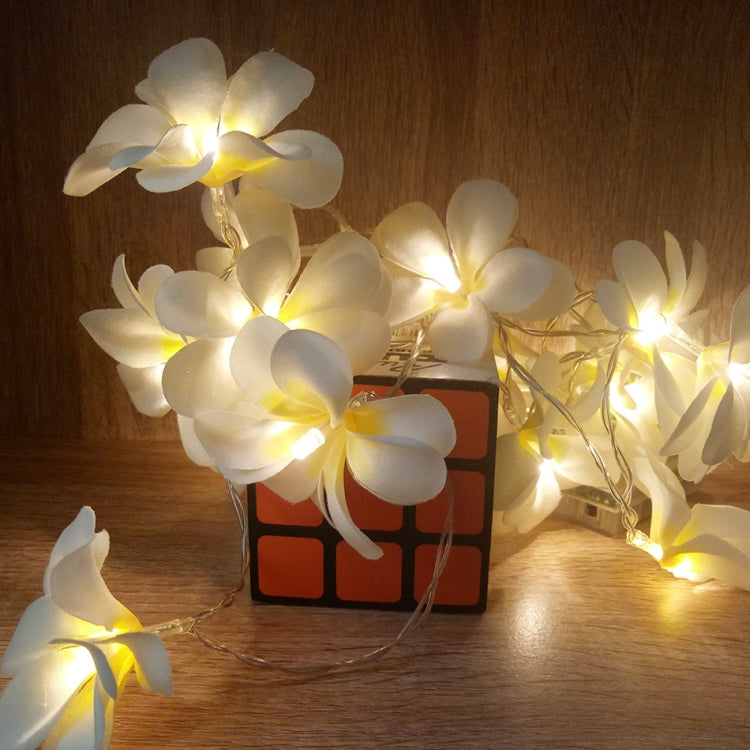 1,5m 10 LEDs Luzes de Fio LED Frangipani Criativas DIY Branco Quente a Pilhas Iluminação Floral para Festas e Decoração de Quarto