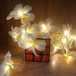 1,5m 10 LEDs Luzes de Fio LED Frangipani Criativas DIY Branco Quente a Pilhas Iluminação Floral para Festas e Decoração de Quarto