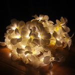 1,5m 10 LEDs Luzes de Fio LED Frangipani Criativas DIY Branco Quente a Pilhas Iluminação Floral para Festas e Decoração de Quarto
