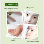 Conjunto de 3 máscaras faciais de plantas para cuidados da pele, hidratante, controlo de oleosidade, removedor de cravos, máscara facial envolvente, mirtilo, aloe vera, azeitona, mel, romã vermelha, pepino