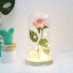 Rosas Simuladas Luzes Decorações de Vidro Artesanato Presentes para o Dia dos Namorados