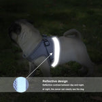 Trela com Peitoral Reflector Ajustável em Malha de Poliéster para Cão, S, M, L, XL