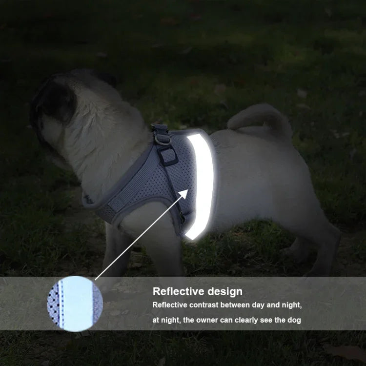 Trela com Peitoral Reflector Ajustável em Malha de Poliéster para Cão, S, M, L, XL