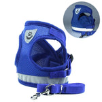 Trela com Peitoral Reflector Ajustável em Malha de Poliéster para Cão, S, M, L, XL