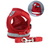 Trela com Peitoral Reflector Ajustável em Malha de Poliéster para Cão, S, M, L, XL