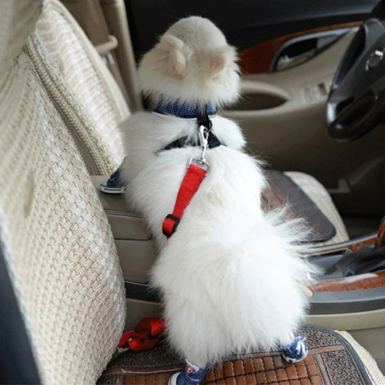 Trela com Arnês em Nylon para Cão, Cinto de Segurança para Carro, Vermelho, Preto, Azul