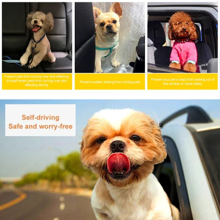 Trela com Arnês em Nylon para Cão, Cinto de Segurança para Carro, Vermelho, Preto, Azul
