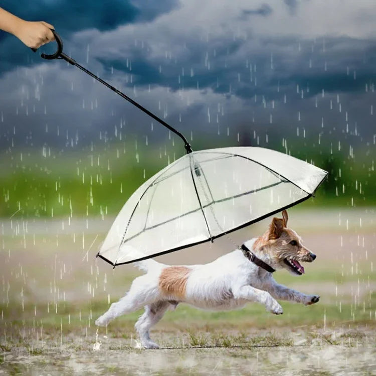 Trela Transparente Ajustável para Cão com Guarda-Chuva para Chuva, Guarda-Chuva para Animais de Estimação