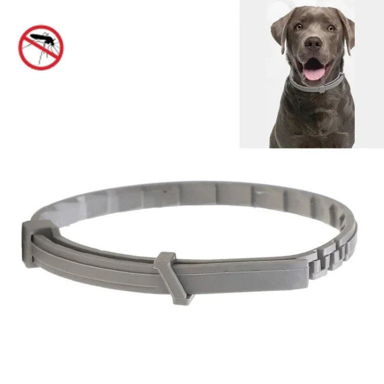 Coleira Antipulgas e Anti-piolhos para Animais, Anel Repelente de Insetos In Vitro, Cão Pequeno/38cm, Cão Grande/70cm
