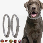 Coleira Antipulgas e Anti-piolhos para Animais, Anel Repelente de Insetos In Vitro, Cão Pequeno/38cm, Cão Grande/70cm