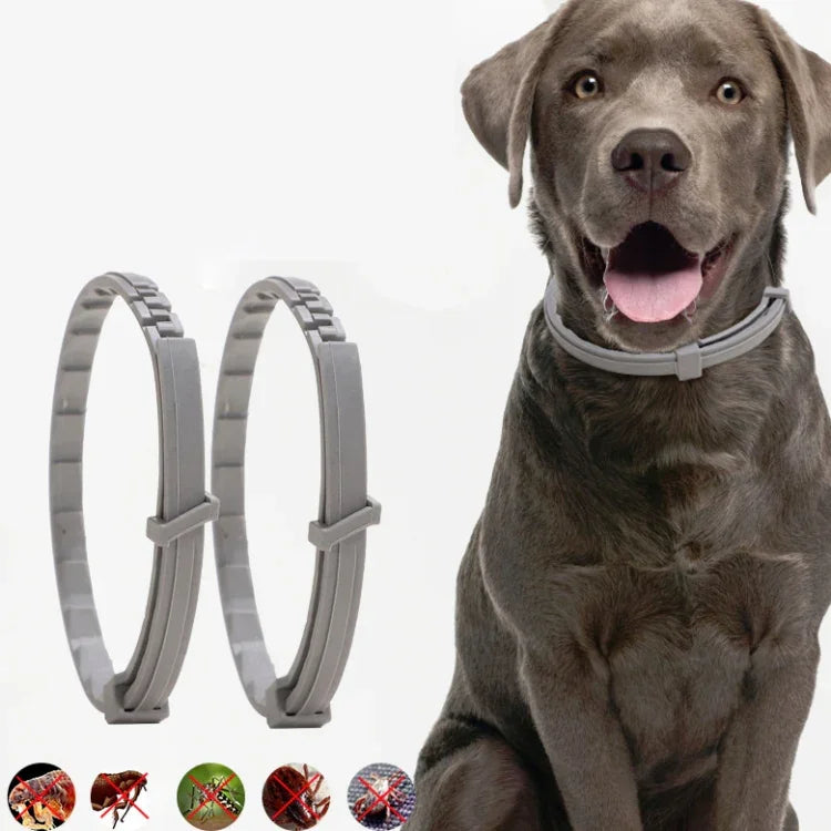 Coleira Antipulgas e Anti-piolhos para Animais, Anel Repelente de Insetos In Vitro, Cão Pequeno/38cm, Cão Grande/70cm