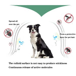Coleira Antipulgas e Anti-piolhos para Animais, Anel Repelente de Insetos In Vitro, Cão Pequeno/38cm, Cão Grande/70cm