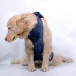 Trela para Animal de Estimação Arnês de Peito para Cães Séniores, XS, S, M, L, XL