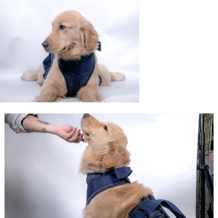 Trela para Animal de Estimação Arnês de Peito para Cães Séniores, XS, S, M, L, XL