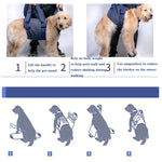 Trela para Animal de Estimação Arnês de Peito para Cães Séniores, XS, S, M, L, XL