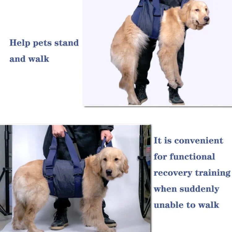Trela para Animal de Estimação Arnês de Peito para Cães Séniores, XS, S, M, L, XL