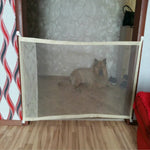 Cercas Portáteis para Cães, Porta de Segurança Dobrável, Proteção Segura, Portão Mágico para Cães e Gatos, 180cm x72cm, 110cm x72cm