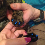 20 Unidades de Tampas de Silicone Macias para Unhas de Gato / Proteção para Garras / Protetor de Unhas para Animais, XS, S, L