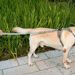 Corda de Tração para Cão Exterior Anti-Pulgas em Nylon Reflector Elástico Esticável, Elástico Esticável Amarelo, Elástico Esticável Verde
