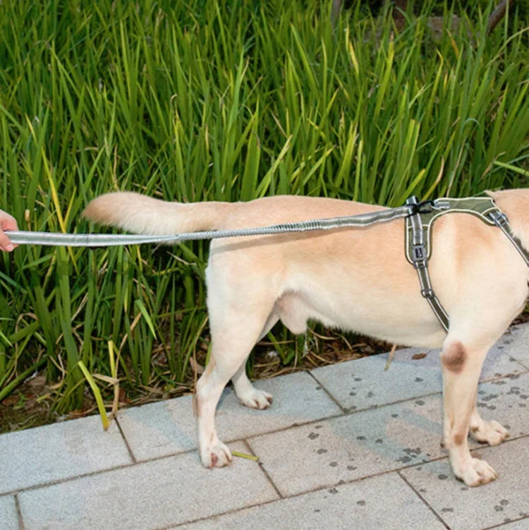 Corda de Tração para Cão Exterior Anti-Pulgas em Nylon Reflector Elástico Esticável, Elástico Esticável Amarelo, Elástico Esticável Verde