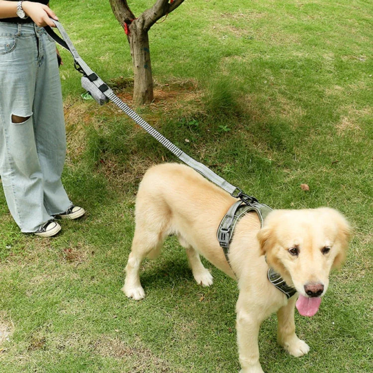 Corda de Tração para Cão Exterior Anti-Pulgas em Nylon Reflector Elástico Esticável, Elástico Esticável Amarelo, Elástico Esticável Verde