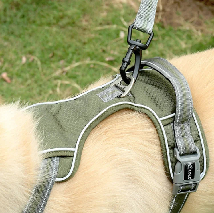 Corda de Tração para Cão Exterior Anti-Pulgas em Nylon Reflector Elástico Esticável, Elástico Esticável Amarelo, Elástico Esticável Verde