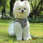 Colete Refletor e Respirável Corda de Tração Trela de Peito para Animal de Estimação, XS, S, M, XL