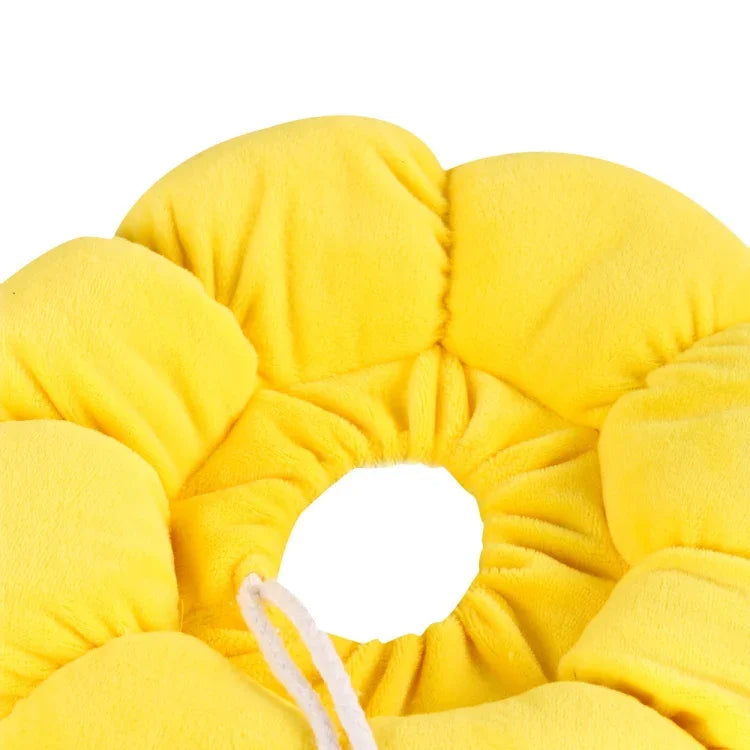 Acessórios para Animais, Arnês para Cabeça de Gato, Brinquedo para Gato, Anel Protetor Anti-mordida, XS, S, L