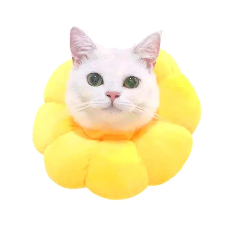 Acessórios para Animais, Arnês para Cabeça de Gato, Brinquedo para Gato, Anel Protetor Anti-mordida, XS, S, L