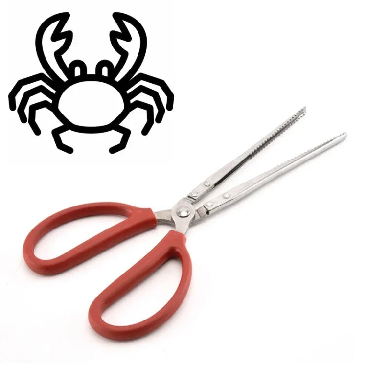 Pinças para Caranguejo Pinças para Enguia Ferramenta Marinha, Pinça Reta de 30cm, Pinça Reta de 38cm, Pinça Curva de 38cm, Pinça Reta de 53cm, Pinça Curva de 53cm