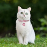 Colar de Joalharia Elástico com Diamantes para Gatos e Cães, S, M, L
