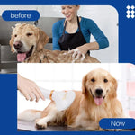 Secador de Pelo para Animais, Pente Elétrico para Limpeza de Cão e Gato, Plugue US, Plugue UK
