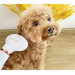 Secador de Pelo para Animais, Pente Elétrico para Limpeza de Cão e Gato, Plugue US, Plugue UK