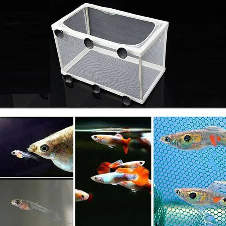 Incubadora Grande para Aquário Caixa de Isolamento para Peixes Pequenos Rede Caixa de Criação de Peixes Tropicais, Sem Divisória