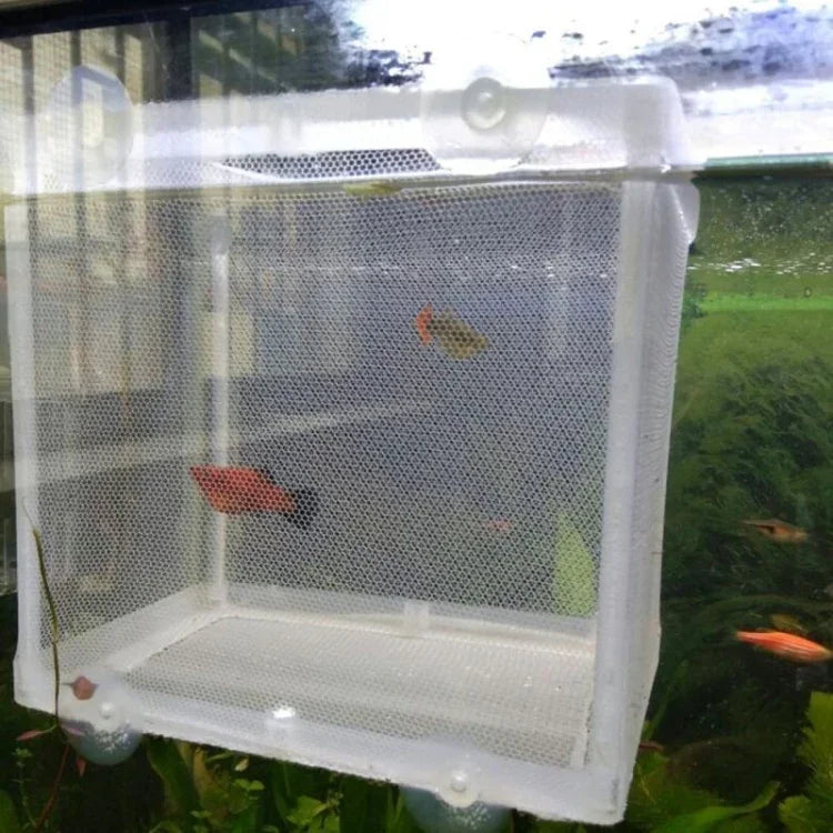 Incubadora Pequena para Aquário Caixa de Isolamento para Peixes Pequenos Rede Caixa de Criação de Peixes Tropicais, Sem Divisória